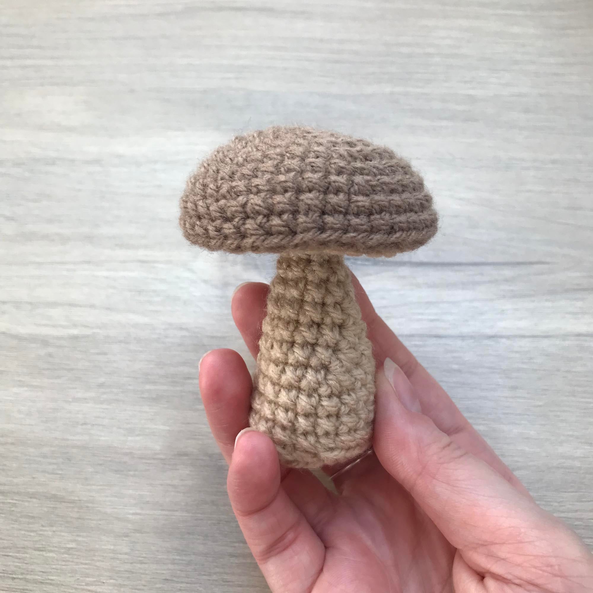 Crochet Mushroom Decoration