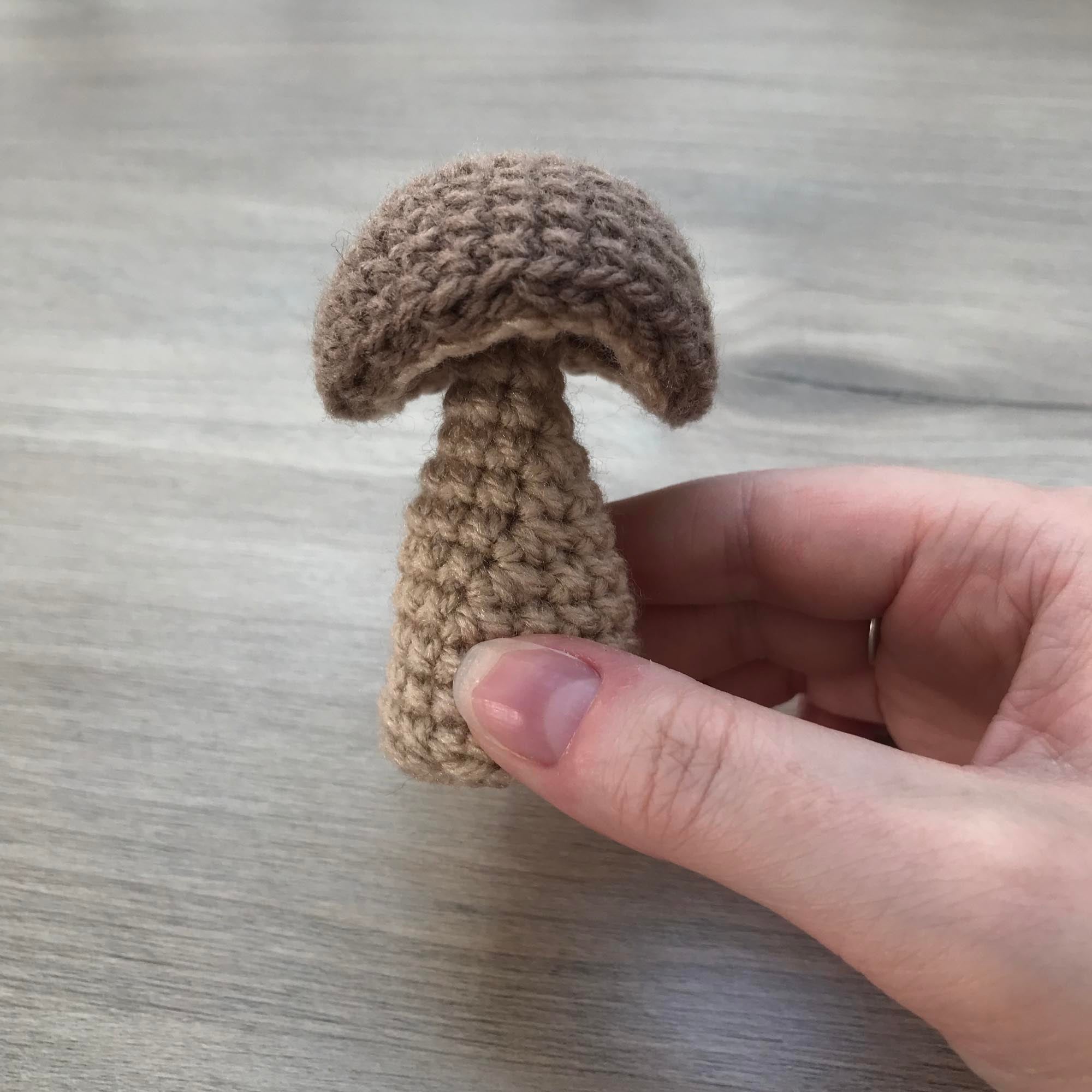 Crochet Mushroom Decoration