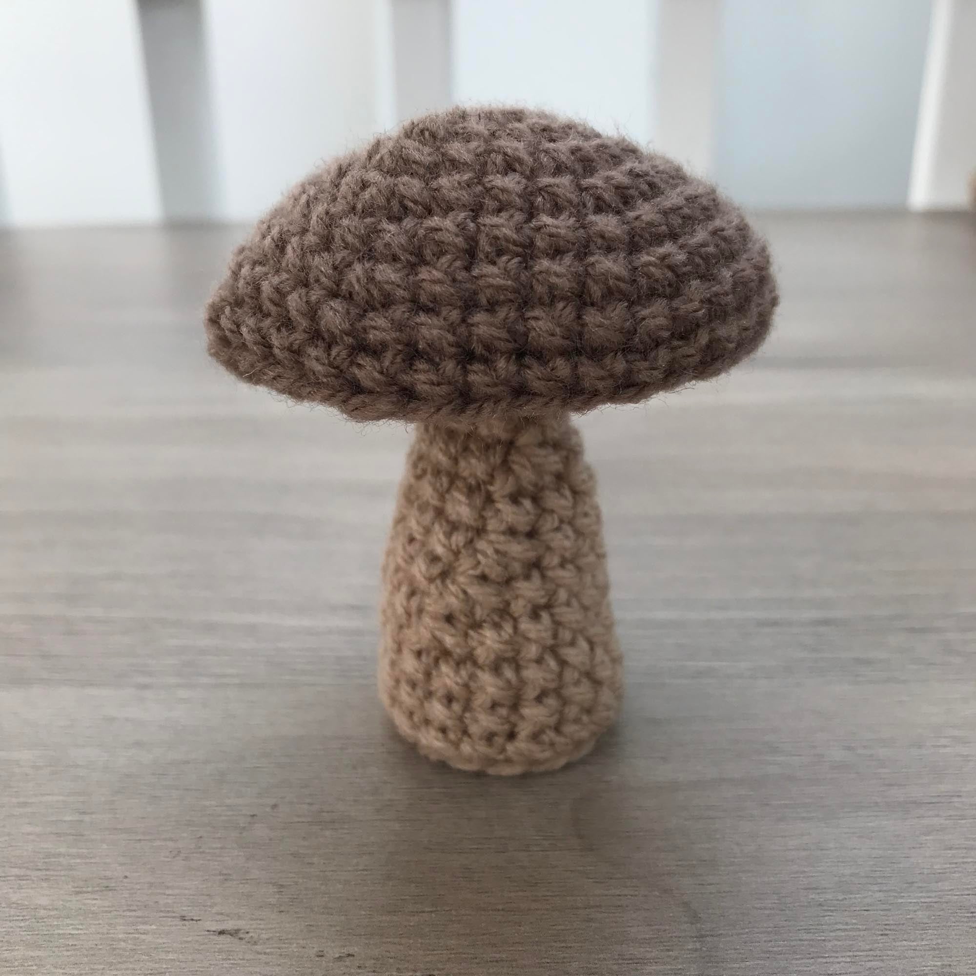 Crochet Mushroom Decoration