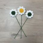 Crochet Faux Daisy Stems