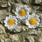 Crochet Faux Daisy Stems