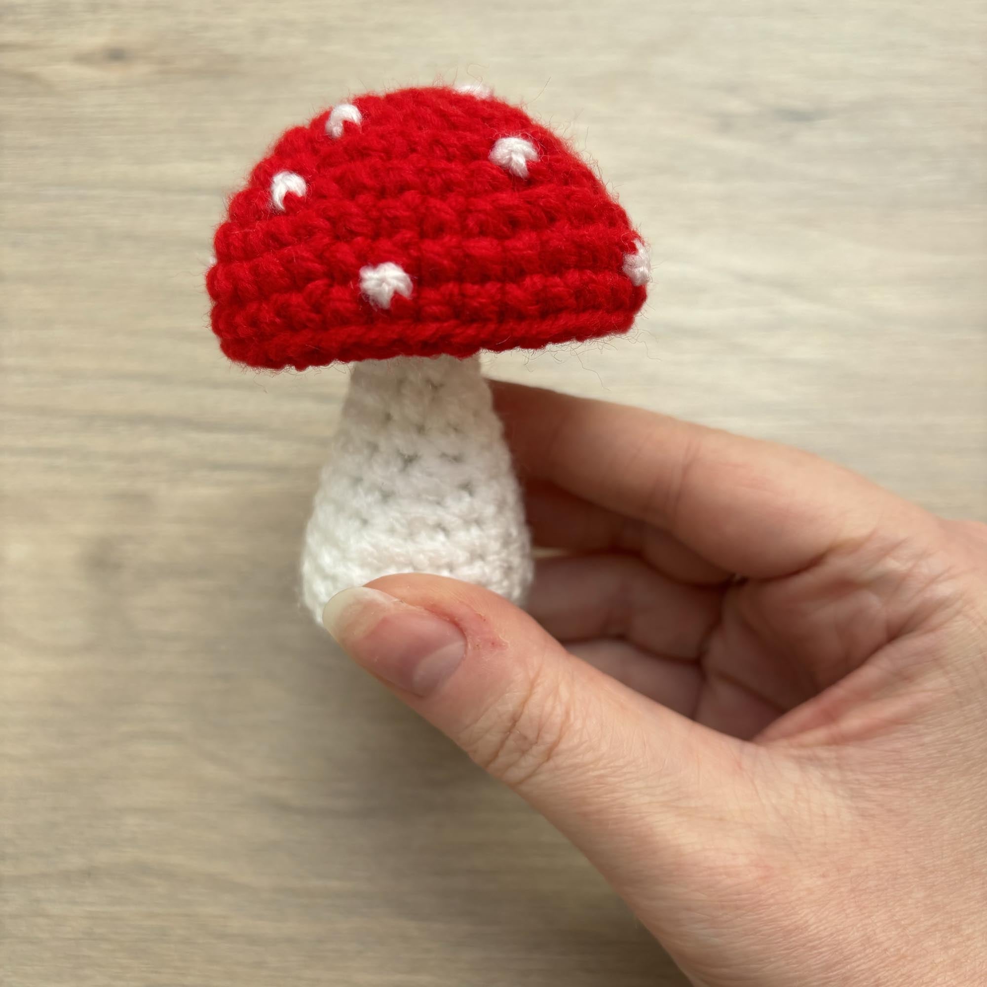 Crochet Toadstool Decoration