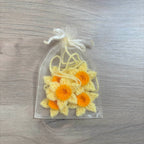 Crochet Daffodil Hanging Decorations